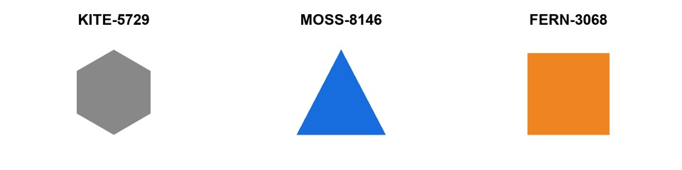 A 视频源场景:灰六边形 KITE-5729、蓝三角形 MOSS-8146、橙方块 FERN-3068