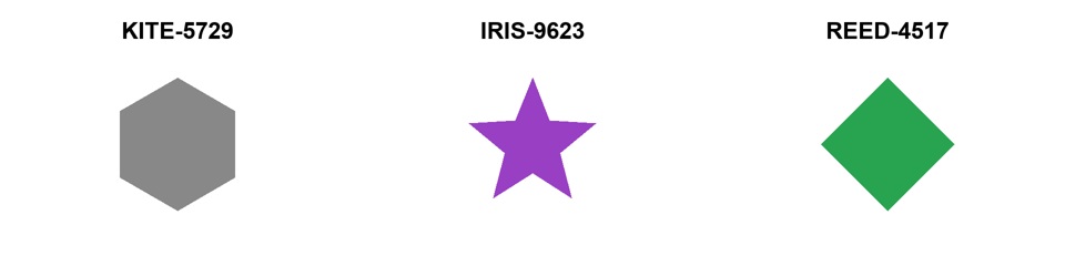 B 视频源场景:相同灰六边形首帧,后续为紫星形 IRIS-9623、绿菱形 REED-4517